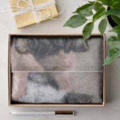 Twee Kittens · Henriette Ronner-Knip (1821-1909) Tissuepapier (Geschenk)