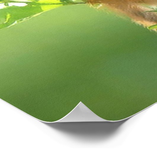 Twee Kittens in een boom Poster (Hoek)