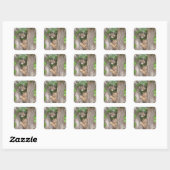 Twee Kittens in een boom Vierkante Sticker (Vel)