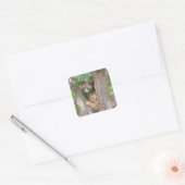 Twee Kittens in een boom Vierkante Sticker (Envelop)