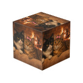 Twee Kittens in een Kartonnen Doos Aangepaste Foto Kubus (Achter hoekig)