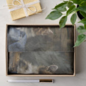 Twee Kittens in een mandje met blauwe kleren Tissuepapier (Geschenk)