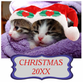 Twee Kittens in Red Santa Hats 20XX Fotobeeldje Ornament