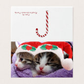 Twee Kittens in Santa Hats Merry-Kaart Kaart (Buitenkant ongevouwen)