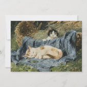 Twee Kittens | Julius Adam de Jongere (Voorkant)