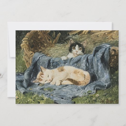 Twee Kittens | Julius Adam de Jongere (Voorkant)
