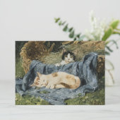 Twee Kittens | Julius Adam de Jongere (Staand voorkant)