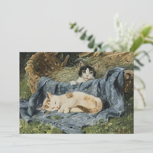 Twee Kittens | Julius Adam de Jongere (Staand voorkant)