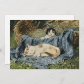 Twee Kittens | Julius Adam de Jongere (Voorkant / Achterkant)