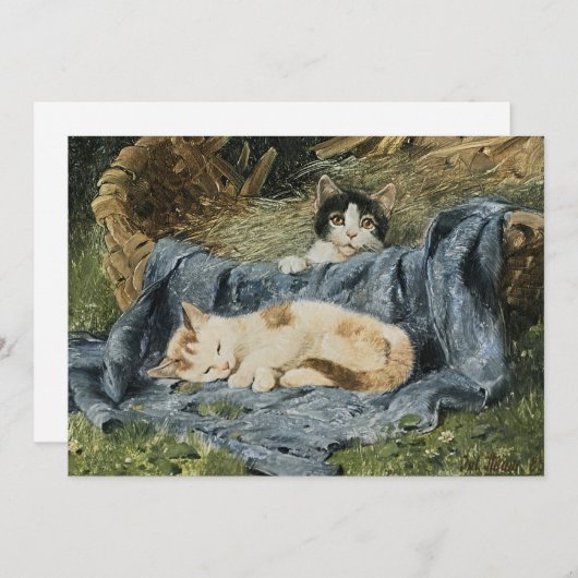 Twee Kittens | Julius Adam de Jongere (Voorkant / Achterkant)