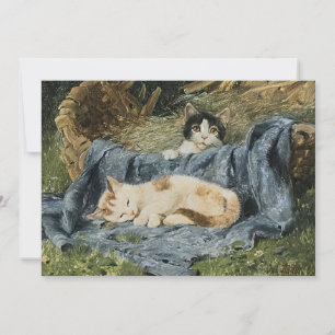 Twee Kittens Julius Adam de Jongere