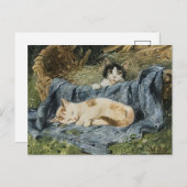 Twee Kittens | Julius Adam de Jongere Briefkaart (Voorkant / Achterkant)
