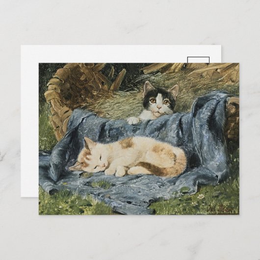 Twee Kittens | Julius Adam de Jongere Briefkaart (Voorkant / Achterkant)