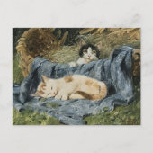 Twee Kittens | Julius Adam de Jongere Briefkaart (Voorkant)