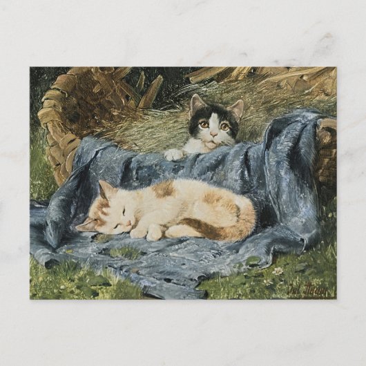 Twee Kittens | Julius Adam de Jongere Briefkaart (Voorkant)