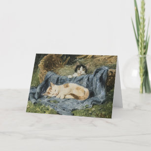 Twee Kittens   Julius Adam de Jongere Kaart