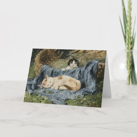 Twee Kittens | Julius Adam de Jongere Kaart (Voorkant)