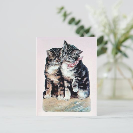 twee kittens katten schattige liefde voor schattig briefkaart (Staand voorkant)