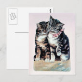 twee kittens katten schattige liefde voor schattig briefkaart (Voorkant / Achterkant)