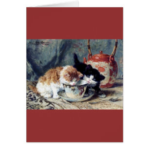 Twee kittens met theefeestje