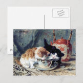 Twee kittens met theefeestje briefkaart (Voorkant / Achterkant)