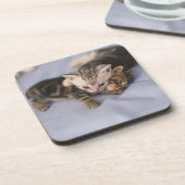 Twee kittens onderzetter (Linkerzijde)