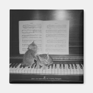 Twee kittens op pianotoetsenbord op papier magneet