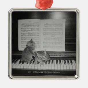 Twee kittens op pianotoetsenbord op papier metalen ornament