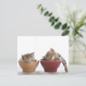 Twee Kittens slapen in Bowls Briefkaart (Staand voorkant)