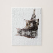 Twee kittens van Maine Coon cat Legpuzzel (Verticaal)