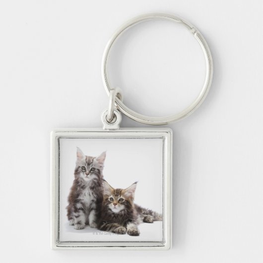 Twee kittens van Maine Coon cat Sleutelhanger (Voorkant)