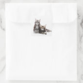 Twee kittens van Maine Coon cat Vierkante Sticker (Tas)