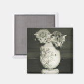 Twee kittens verstopt in vase (B&W) Magneet (Voorkant / Achterkant)