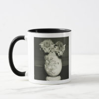 Twee kittens verstopt in vase (B&W)