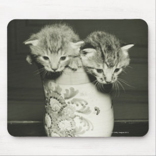 Twee kittens verstopt in vase (B&W) Muismat