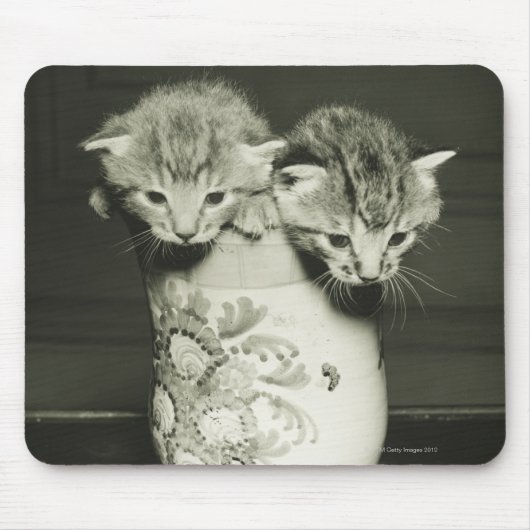 Twee kittens verstopt in vase (B&W) Muismat (Voorkant)