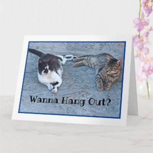 TWEE KITTENS/WANNA HANG UIT? /IK HEB JE VERMIST KAART