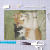 Twee Kittens zitten op een kussen van Ronner-Knip Tissuepapier (Craft)