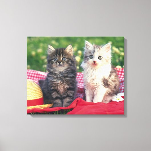 Twee Kittens zitten op een rood-gekleurde wand Canvas Afdruk (Voorkant)