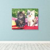 Twee Kittens zitten op een rood-gekleurde wand Canvas Afdruk (Insitu (Houten vloer))