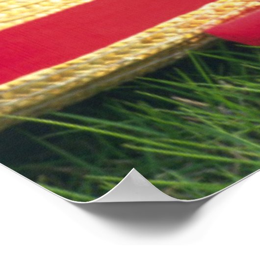 Twee Kittens zitten op een rood-gekleurde wand Poster (Hoek)