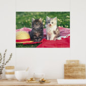 Twee Kittens zitten op een rood-gekleurde wand Poster (Keuken)