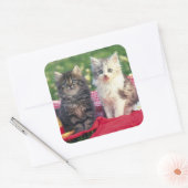 Twee Kittens zitten op een rood-gekleurde wand Vierkante Sticker (Envelop)