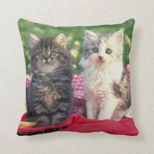 Twee Kittens zitten op een roodkleurige wand Kussen