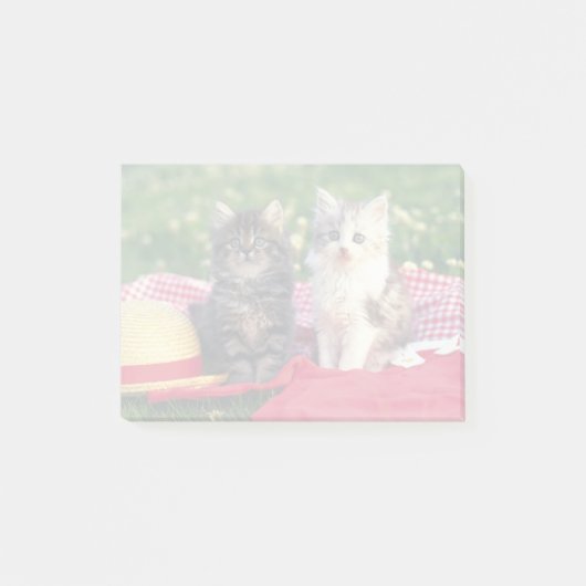 Twee Kittens zitten op een roodkleurige wand Post-it® Notes (Voorkant)