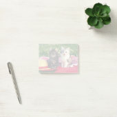 Twee Kittens zitten op een roodkleurige wand Post-it® Notes (Kantoor)