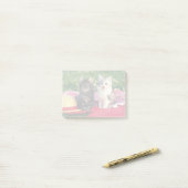 Twee Kittens zitten op een roodkleurige wand Post-it® Notes (Op bureau)