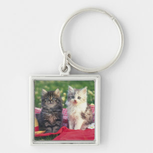 Twee Kittens zitten op een roodkleurige wand Sleutelhanger