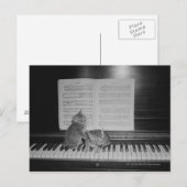 Twee kittens zittend op piano toetsenbord per blad briefkaart (Voorkant / Achterkant)