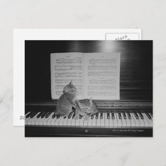 Twee kittens zittend op piano toetsenbord per blad briefkaart (Voorkant / Achterkant)